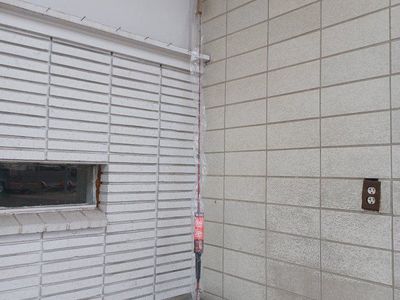 ugly stick casting rod