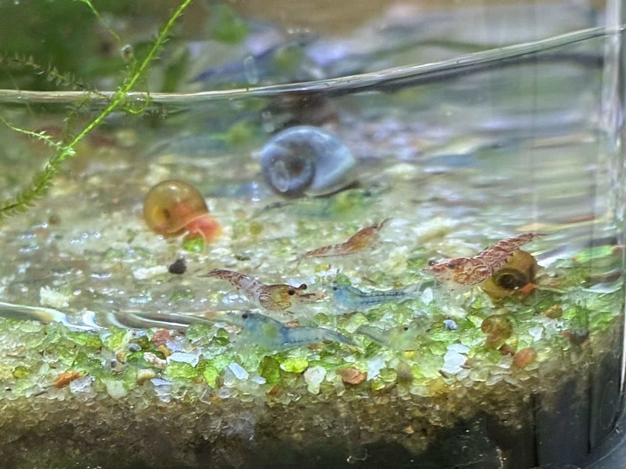 Main image 6
