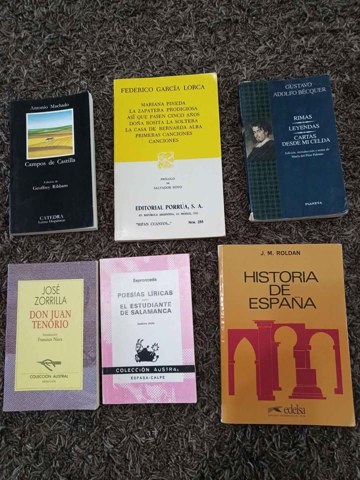 Spanish Literature and History Books
