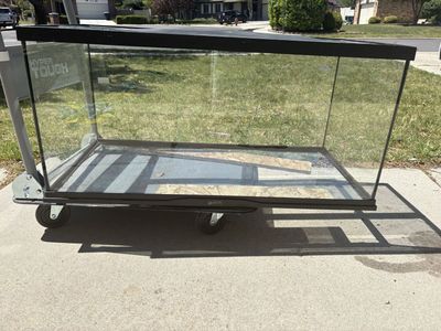 Reptile Enclosure 40gal + accessories