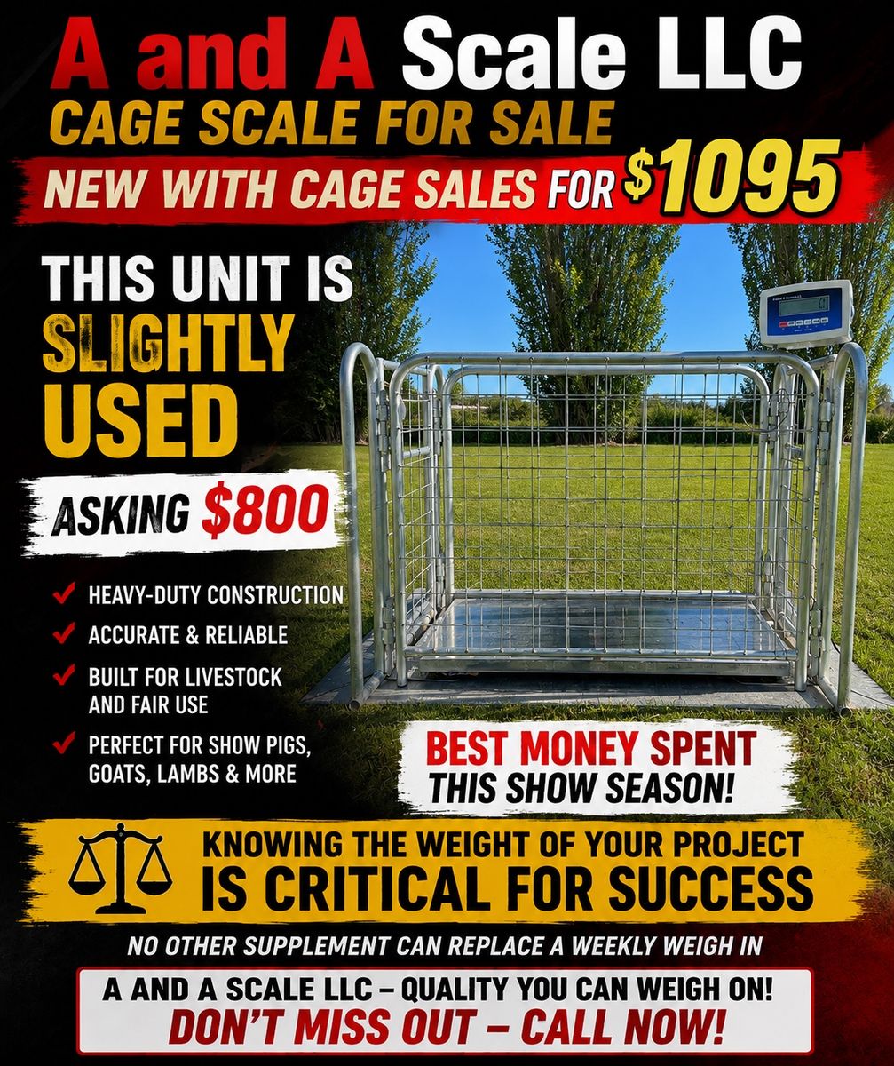 A and A Scale LLC Heavy-Duty Livestock Cage Scale - Accurate & Reliable for Pigs, Goats, Lambs