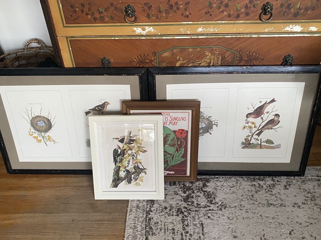 Framed Vintage Bird Prints Lot of 4