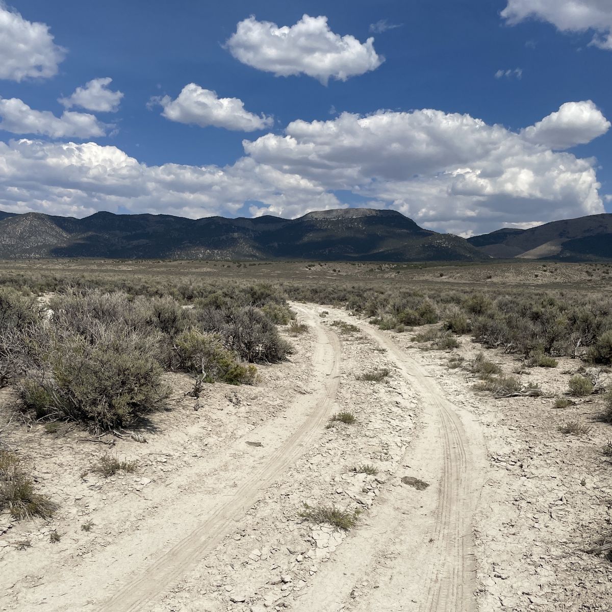 20 Acre Wild West Land in NV