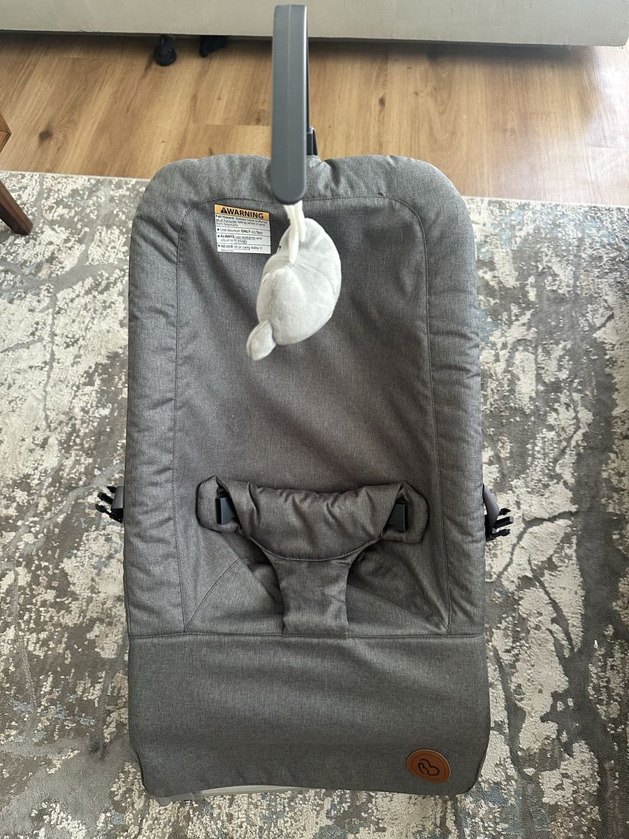 BabyBond Baby Bouncer