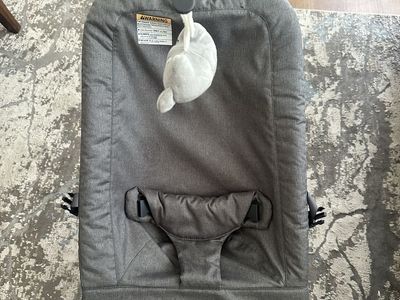 BabyBond Baby Bouncer