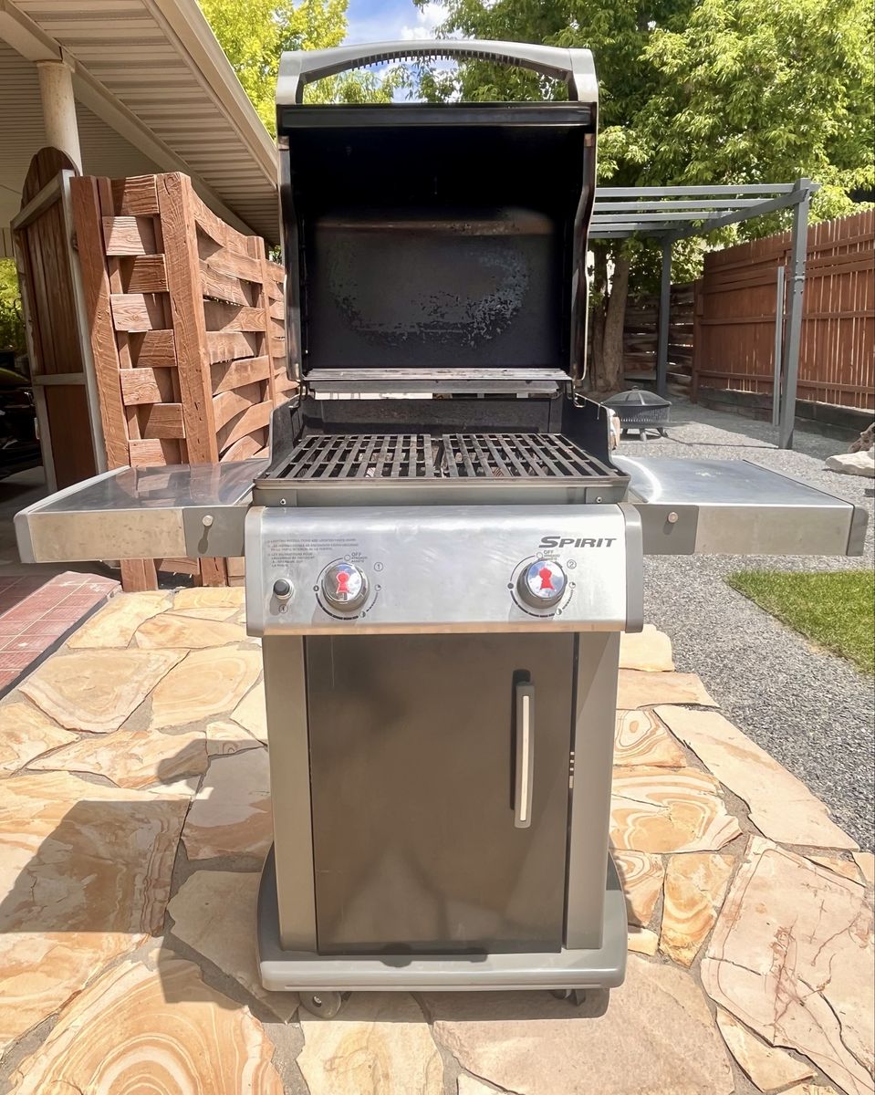 Weber Two burner propane gas grill