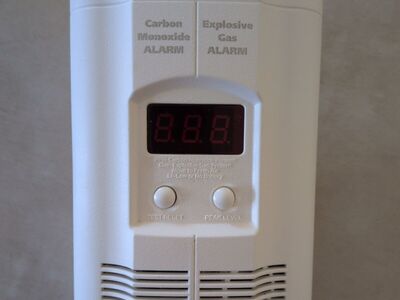 Carbon monoxide and explosive gas alarm