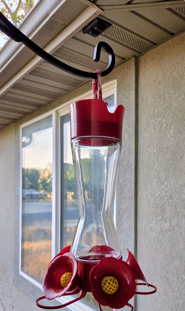 Hummingbird Feeder