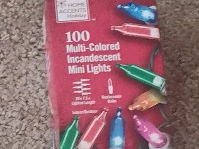 Home Accents Holiday 100 Multi-Colored Incandescent Mini Lights, 20.75ft Indoor/Outdoor
