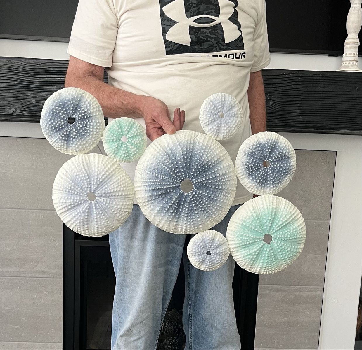 29” Decor Sea Urchin Shell Cluster Coastal Wall Art Set