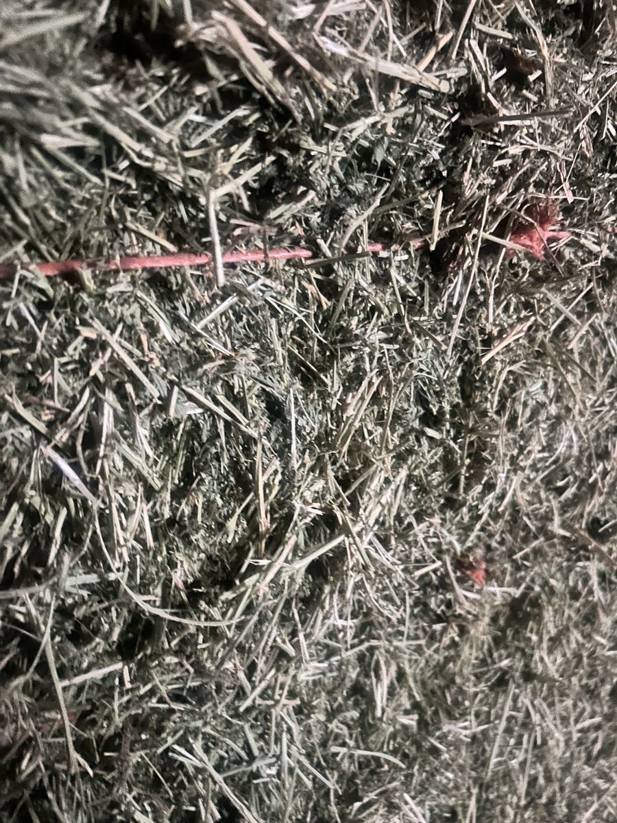 3x4x8 Alfalfa