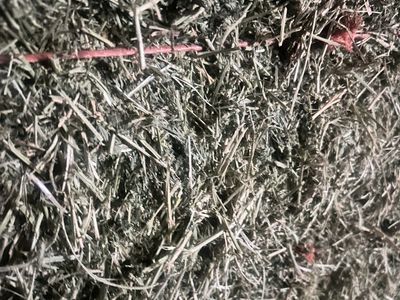 3x4x8 Alfalfa