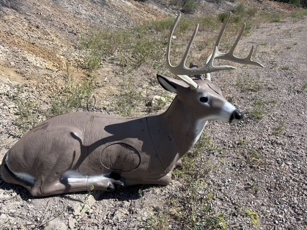 18 Like New Delta Mckenzie 3D Archery Targets