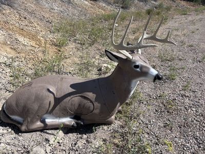 18 Like New Delta Mckenzie 3D Archery Targets