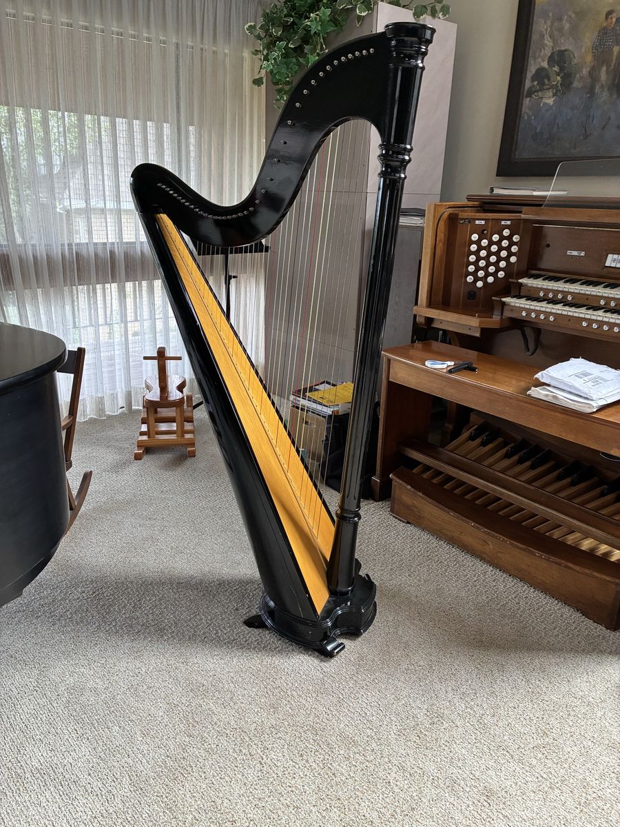 Salvi Ana Lever Harp