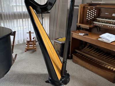 Salvi Ana Lever Harp