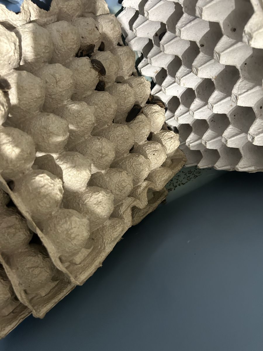 Main image 4