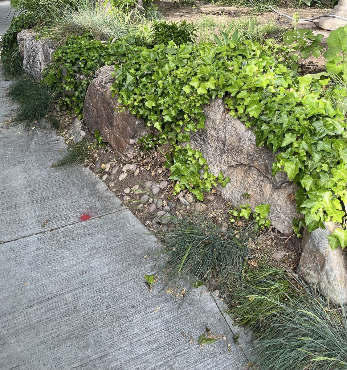 Main image 7