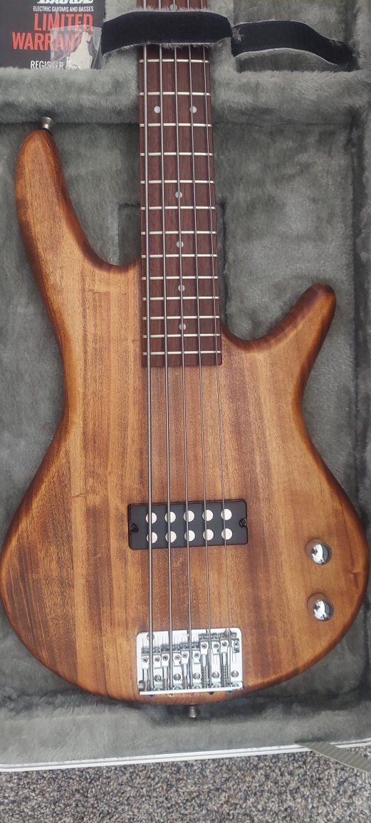 Ibanez Gio GRS 105EX-MOL 5-String Bass Guitar with Hard Case
