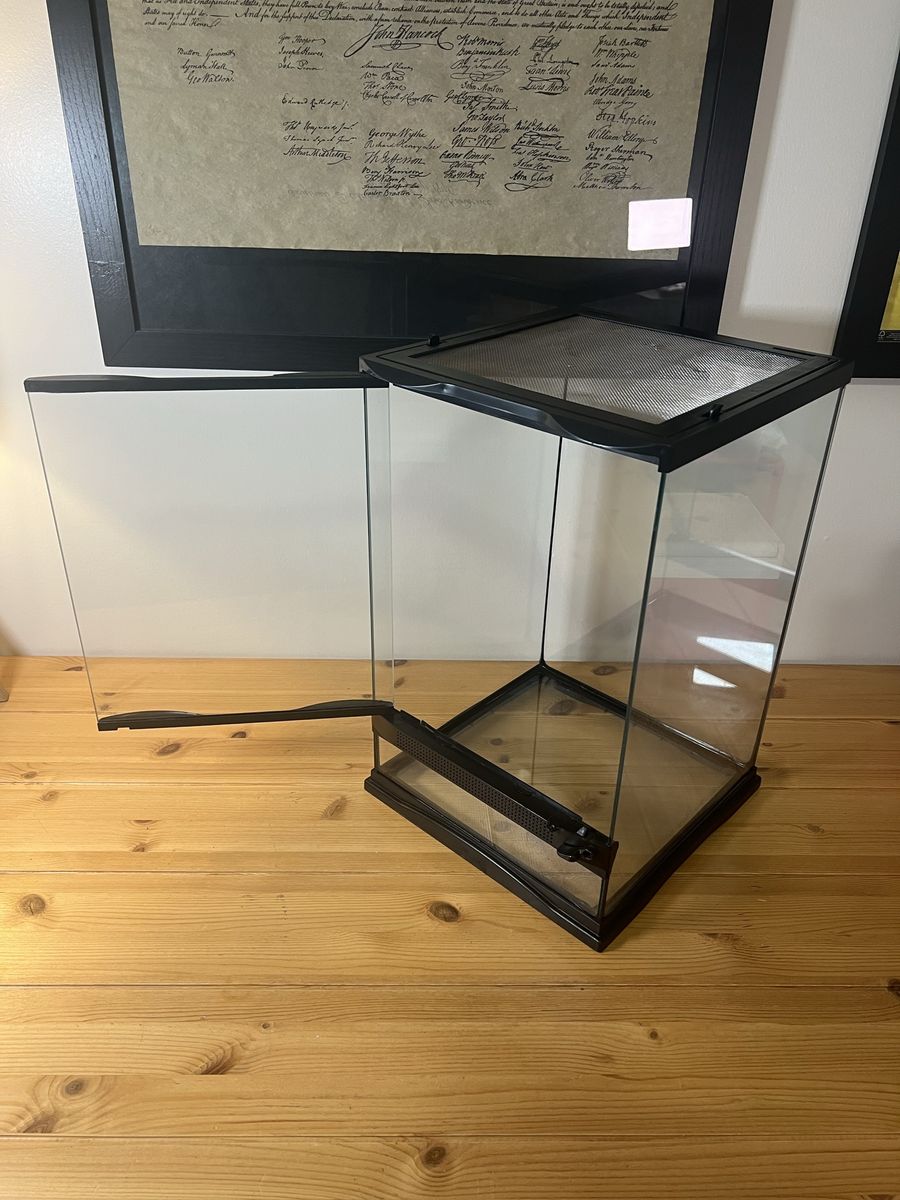 Main image 5