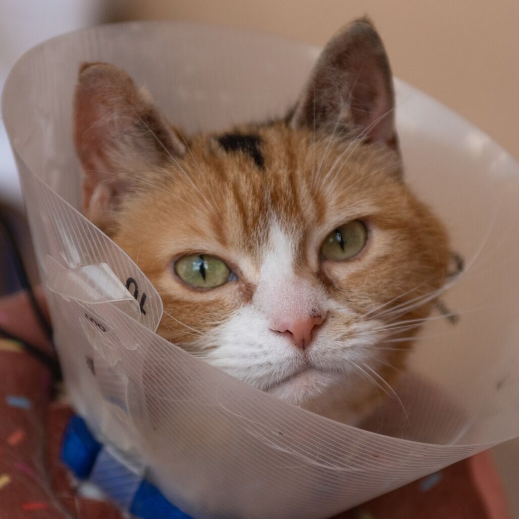 Hello my name is Charlee