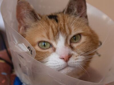 Hello my name is Charlee