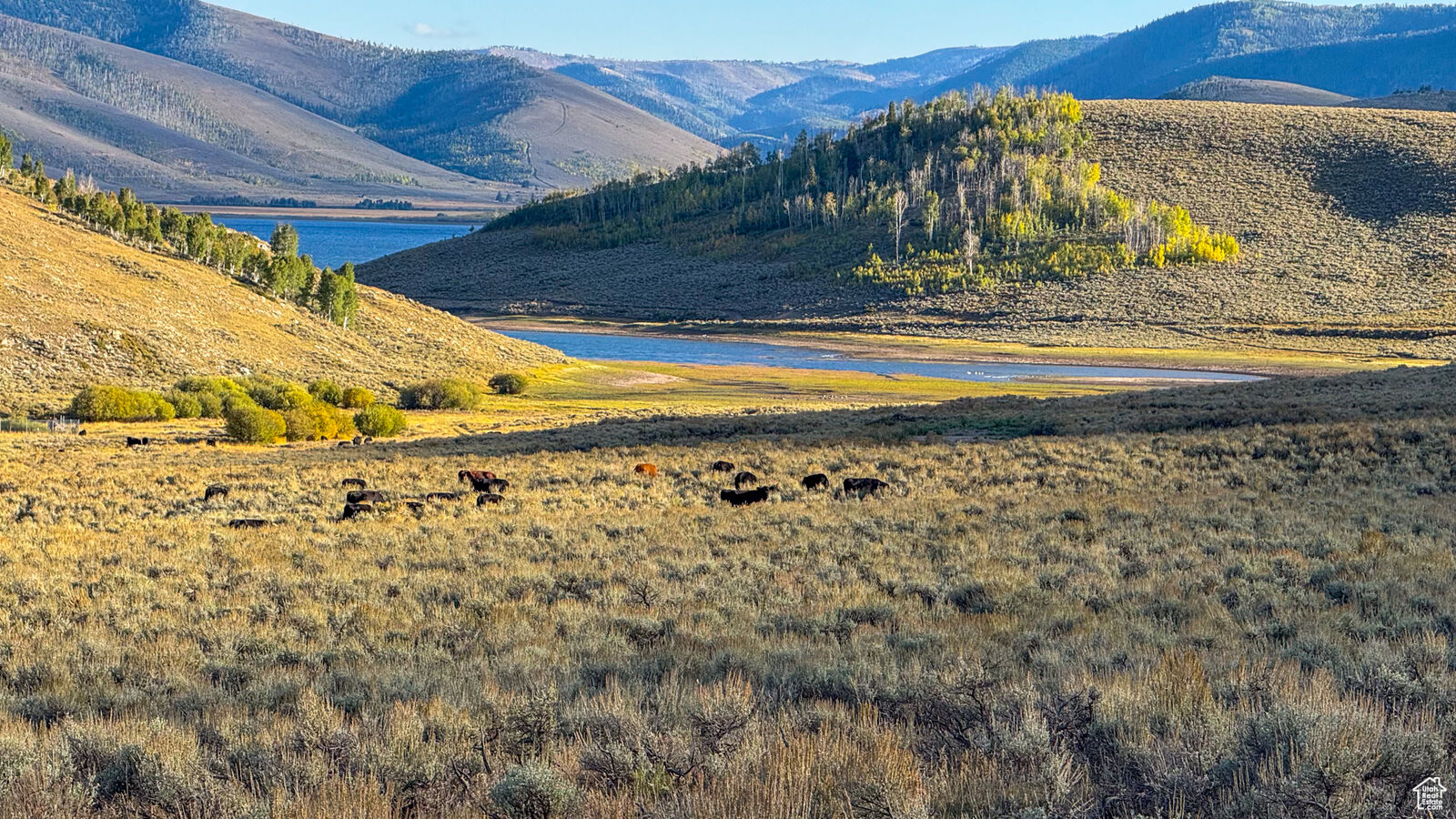 BLACK FRIDAY PRICE DROP!   Scofield Mountain Land — NOW Just $125,000! (Yes… you read that right.)