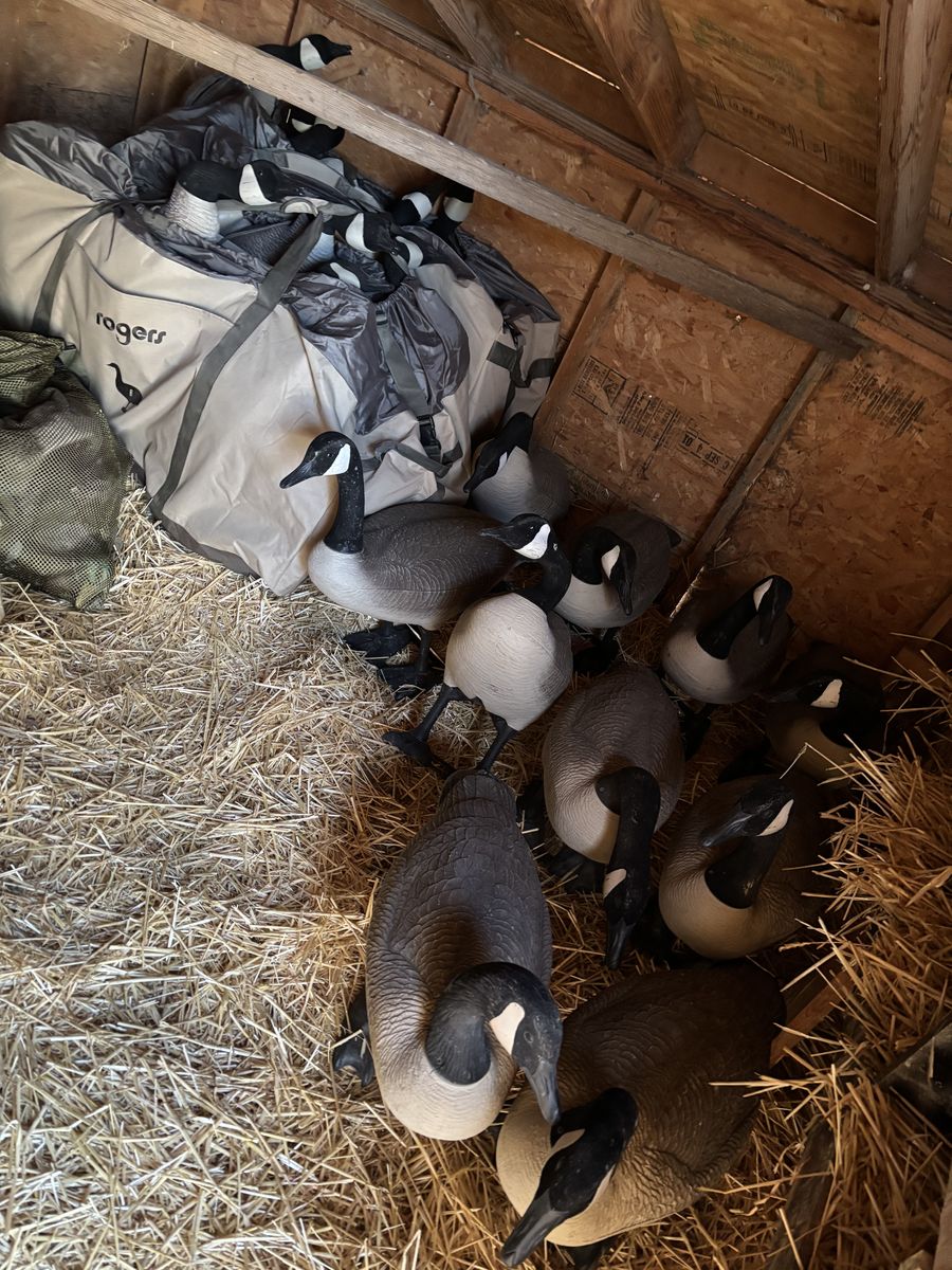 Big Foot Goose Decoys