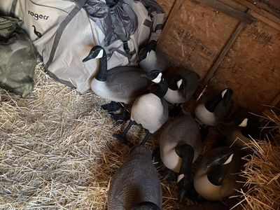 Big Foot Goose Decoys