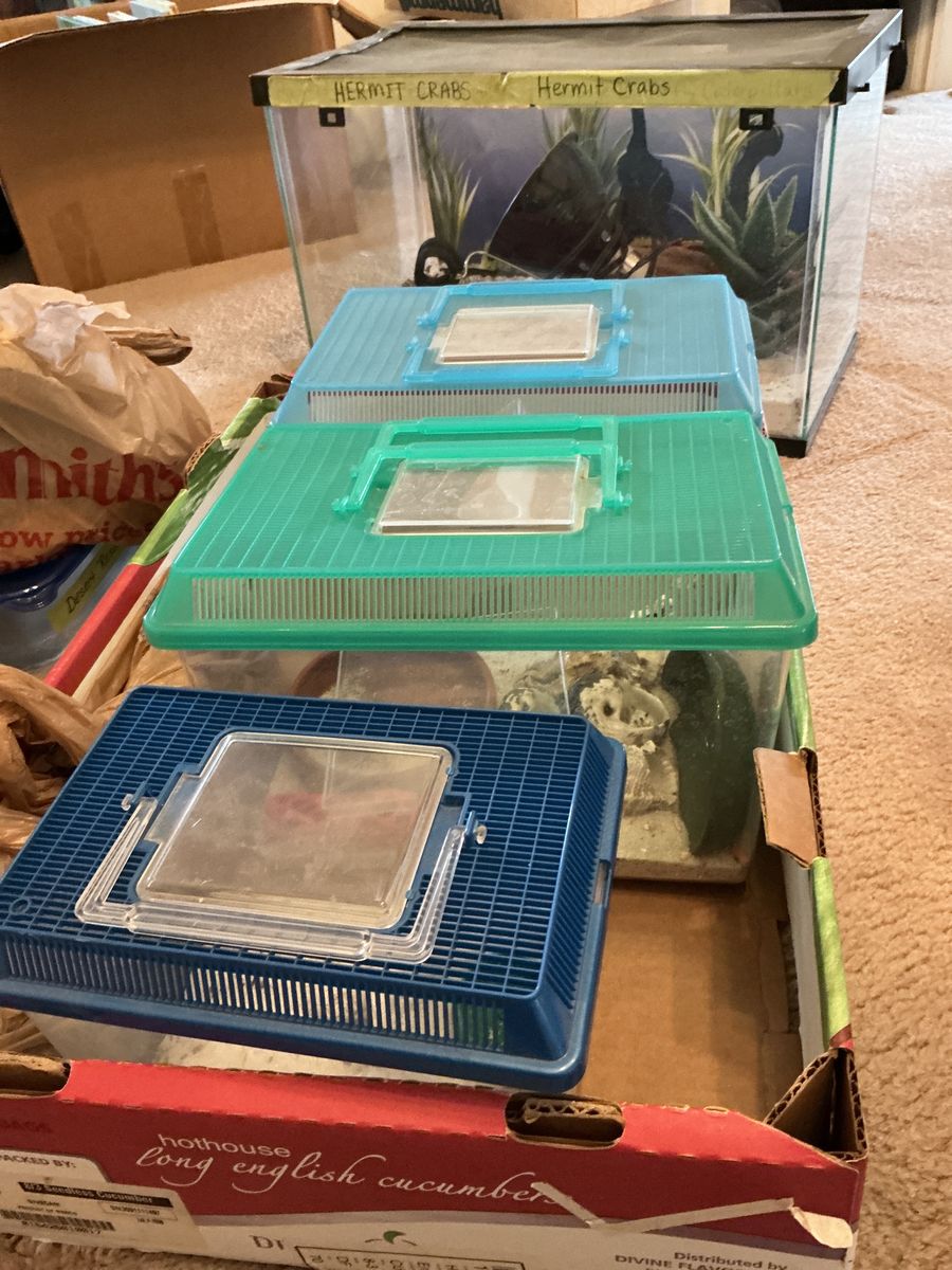 Hermit Crab Equipment