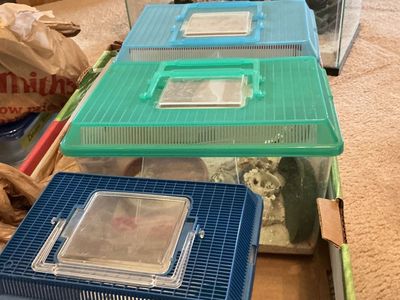 Hermit Crab Equipment