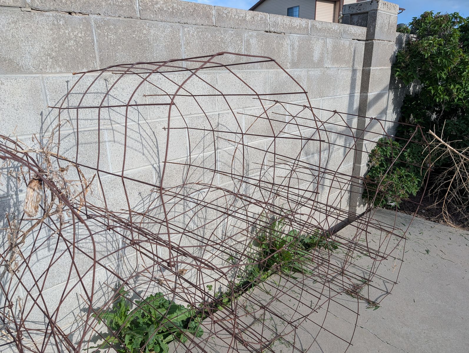 Tomato/Vegetable Cages