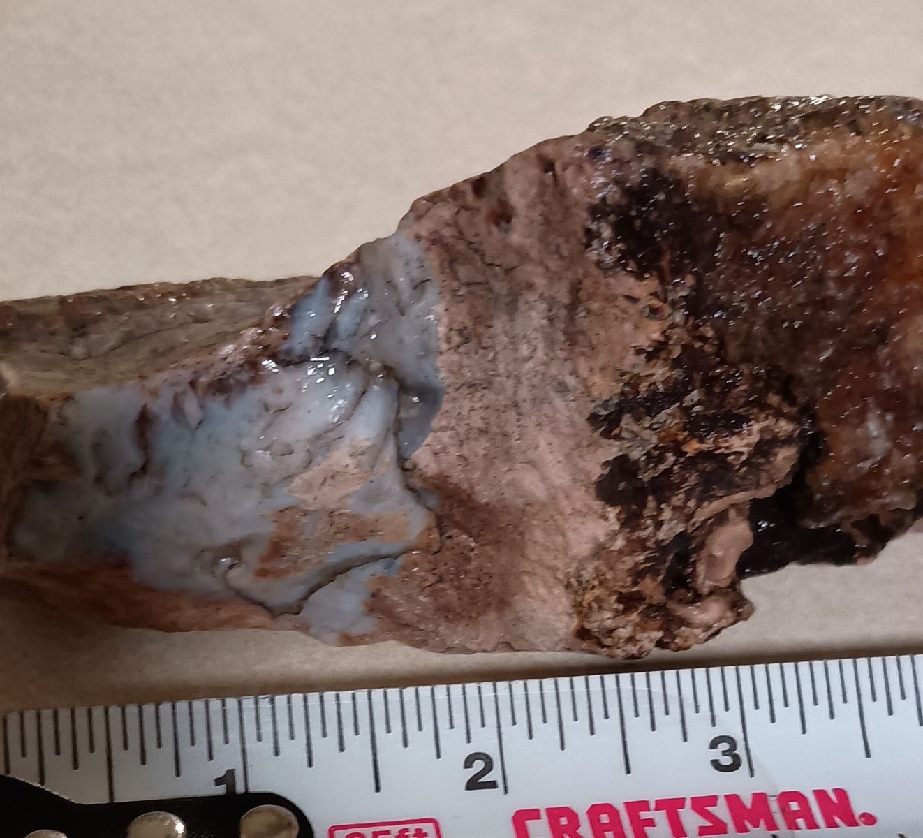 Wood opal