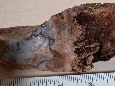 Wood opal