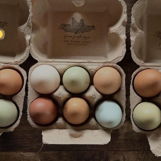 Farm fresh eggs