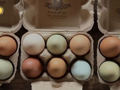 Farm fresh eggs