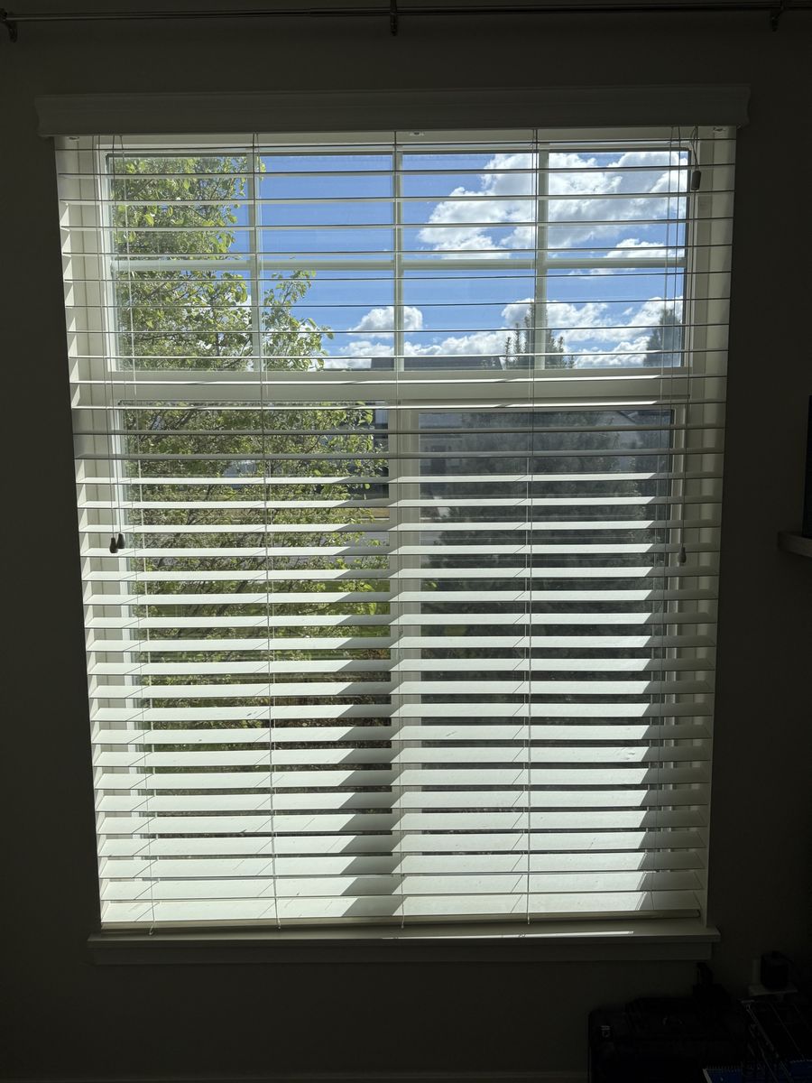 2.5 Inch Blinds