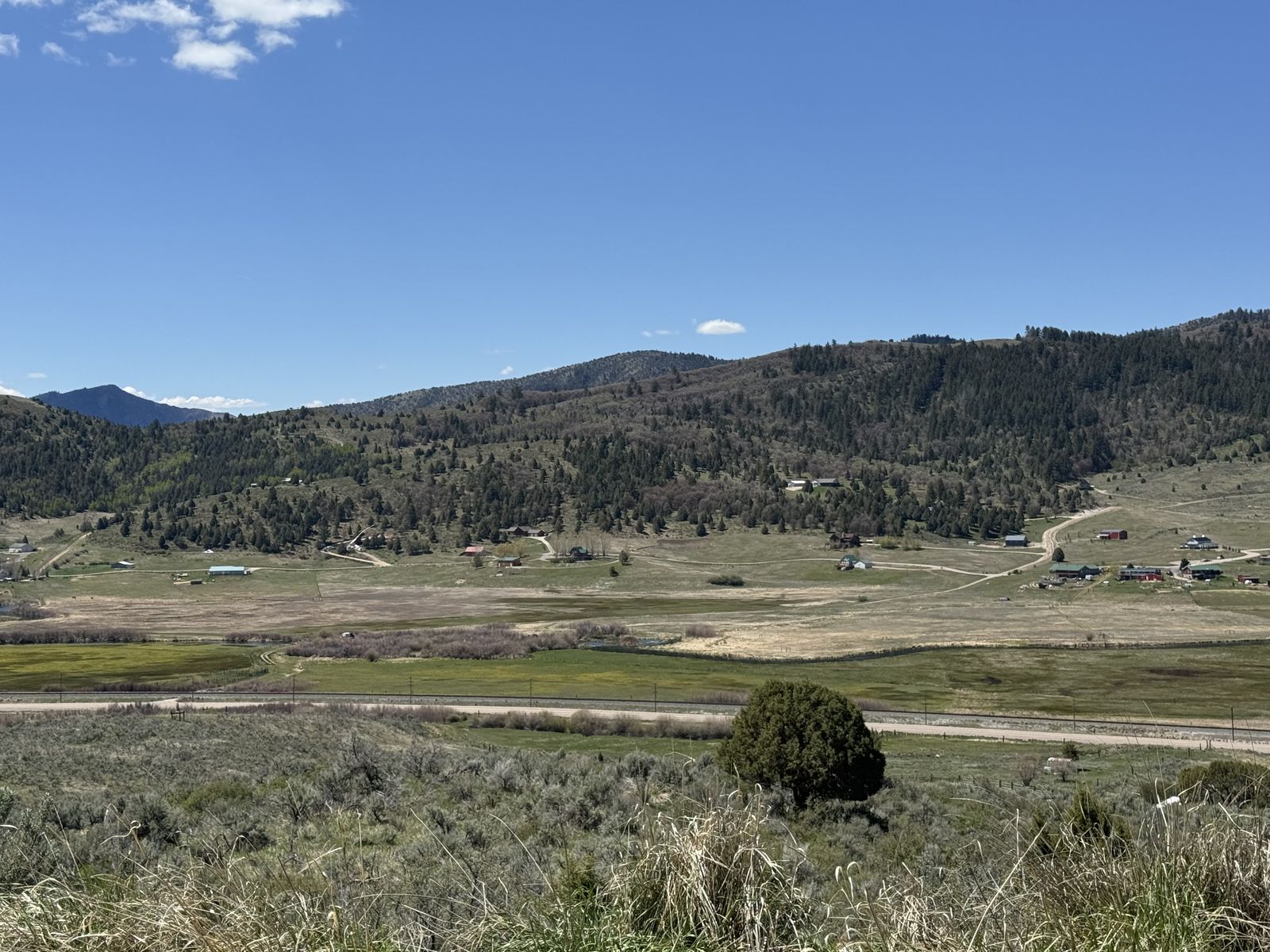 Main image 16