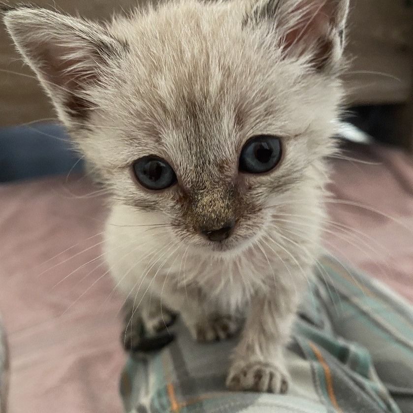 Hello my name is Flouresce