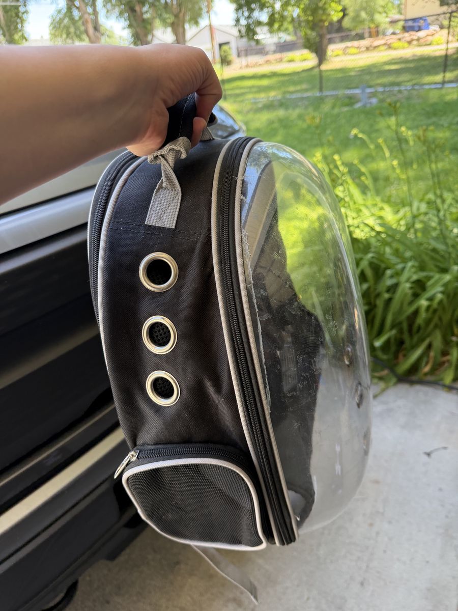 Cat backpack
