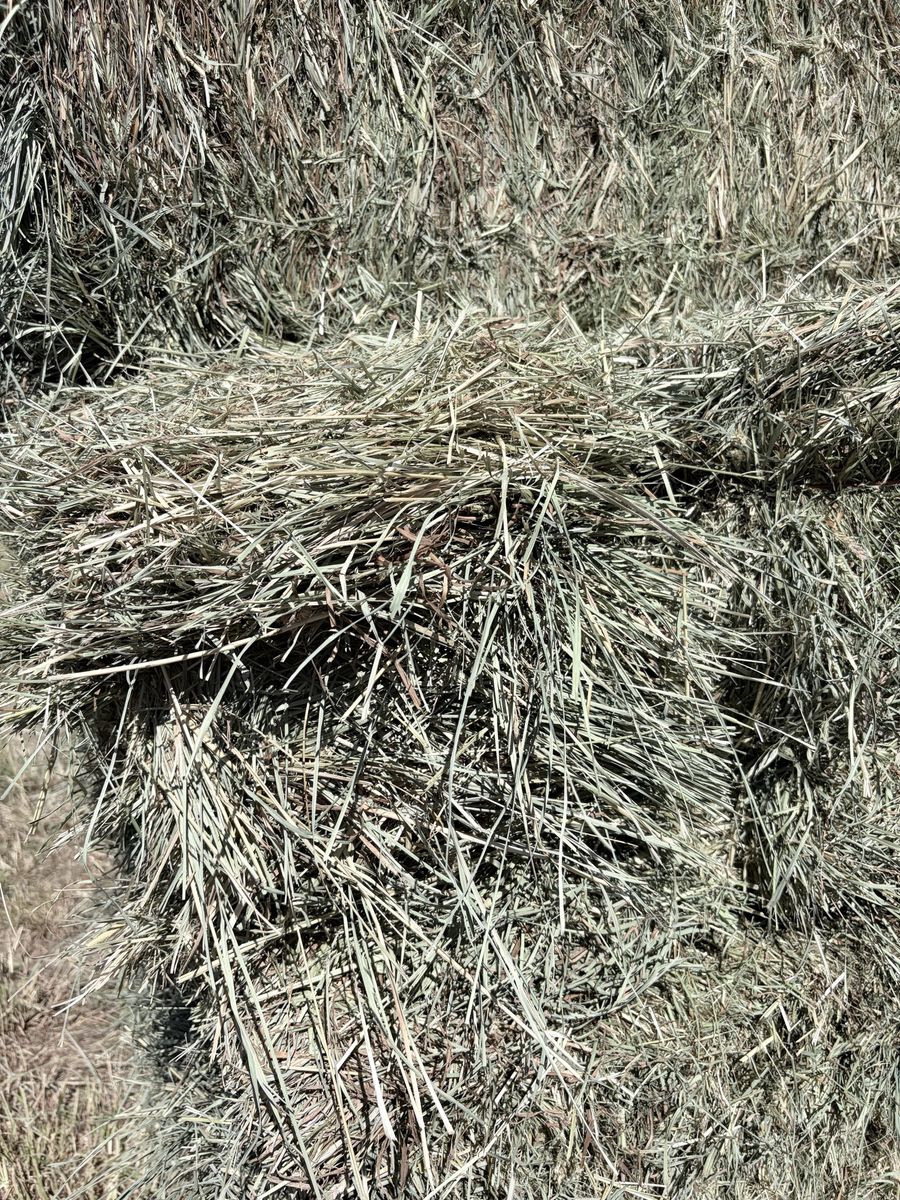 Main image 3
