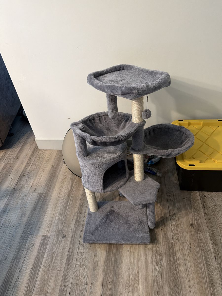 Used Kitten Tree & Automatic Feeders - Grey Kitten Condo, Scratching Posts & Smart Feeders