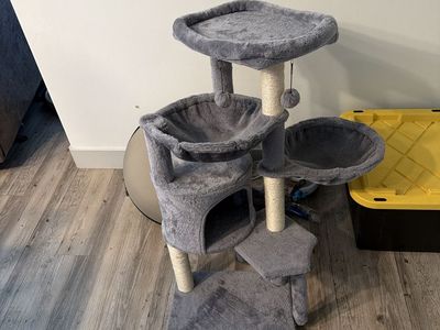 Used Kitten Tree & Automatic Feeders - Grey Kitten Condo, Scratching Posts & Smart Feeders