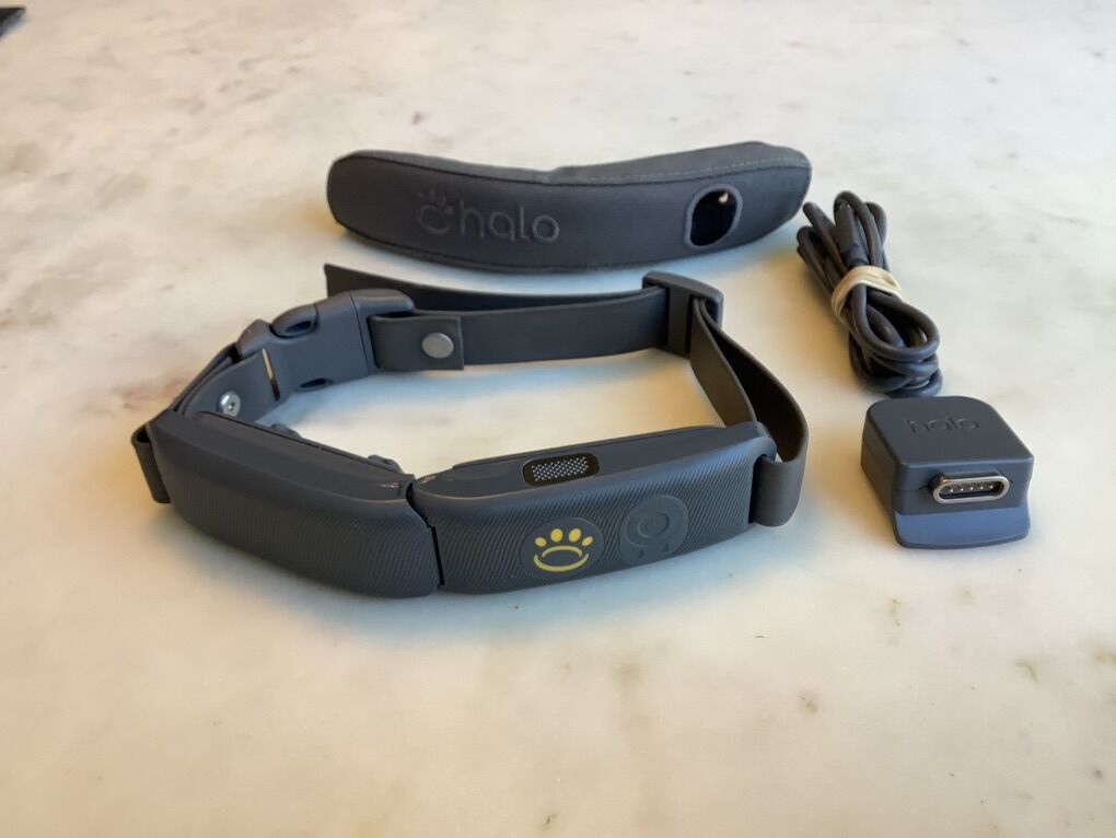 Halo 4 GPS Dog Collar $275