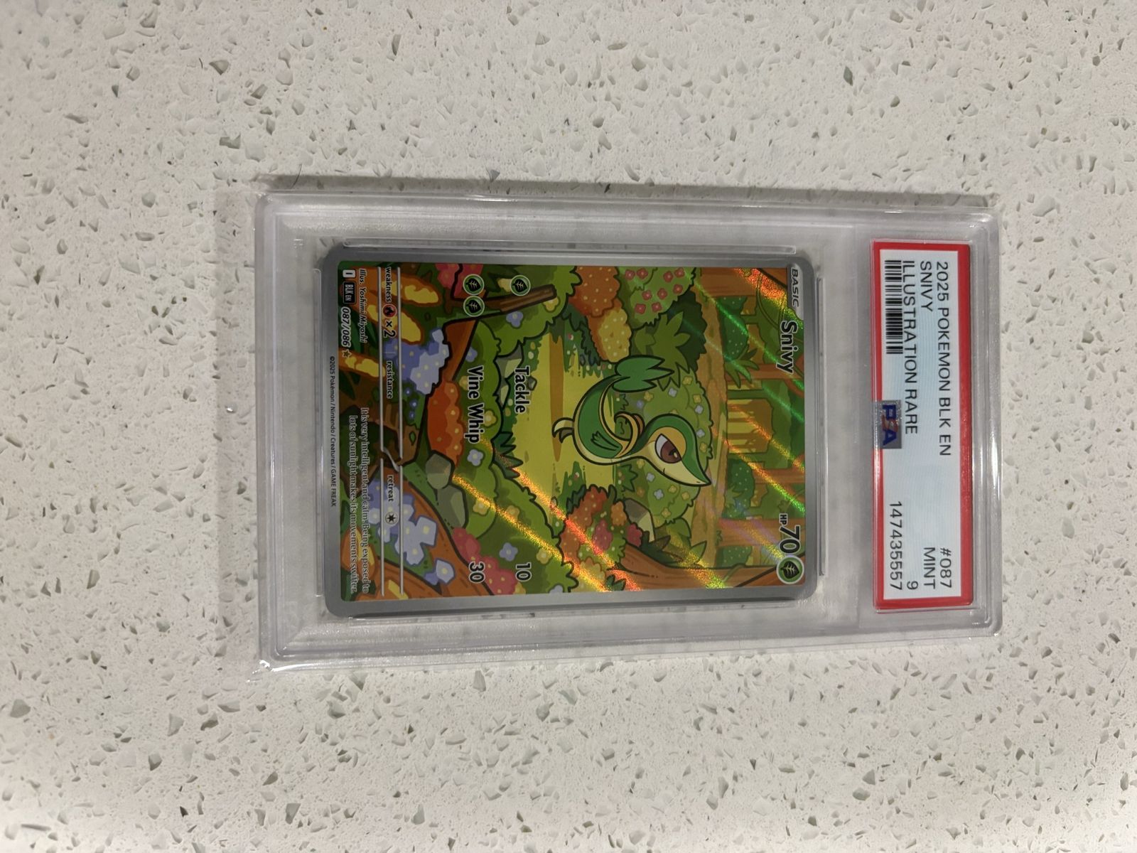 2025 Pokemon Snivy Black Bolt 087 085 Illustration Rare PSA Mint 9