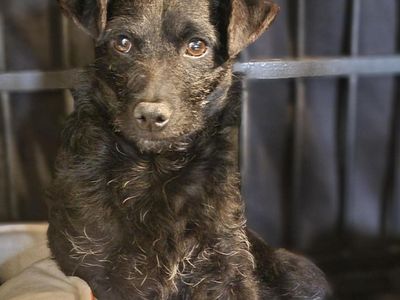 Hello my name is Turner