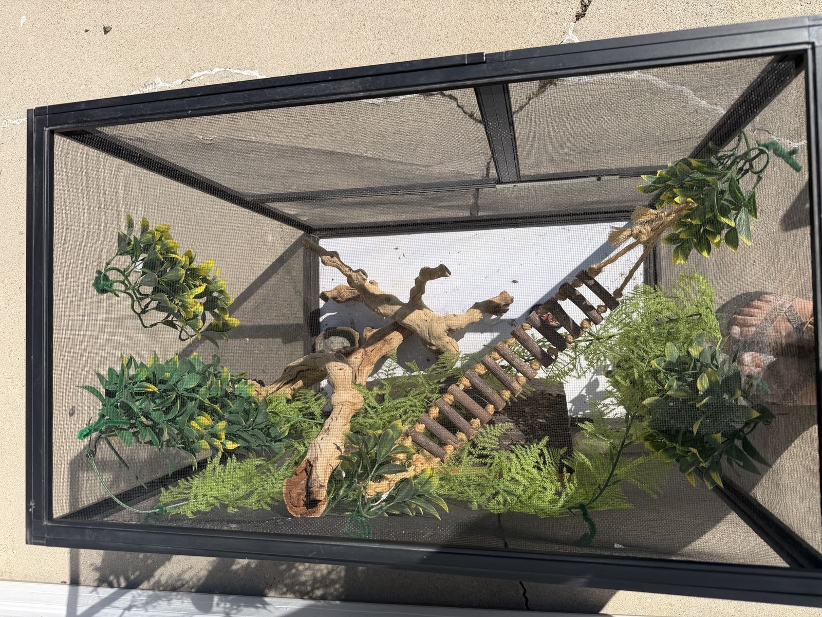Main image 4