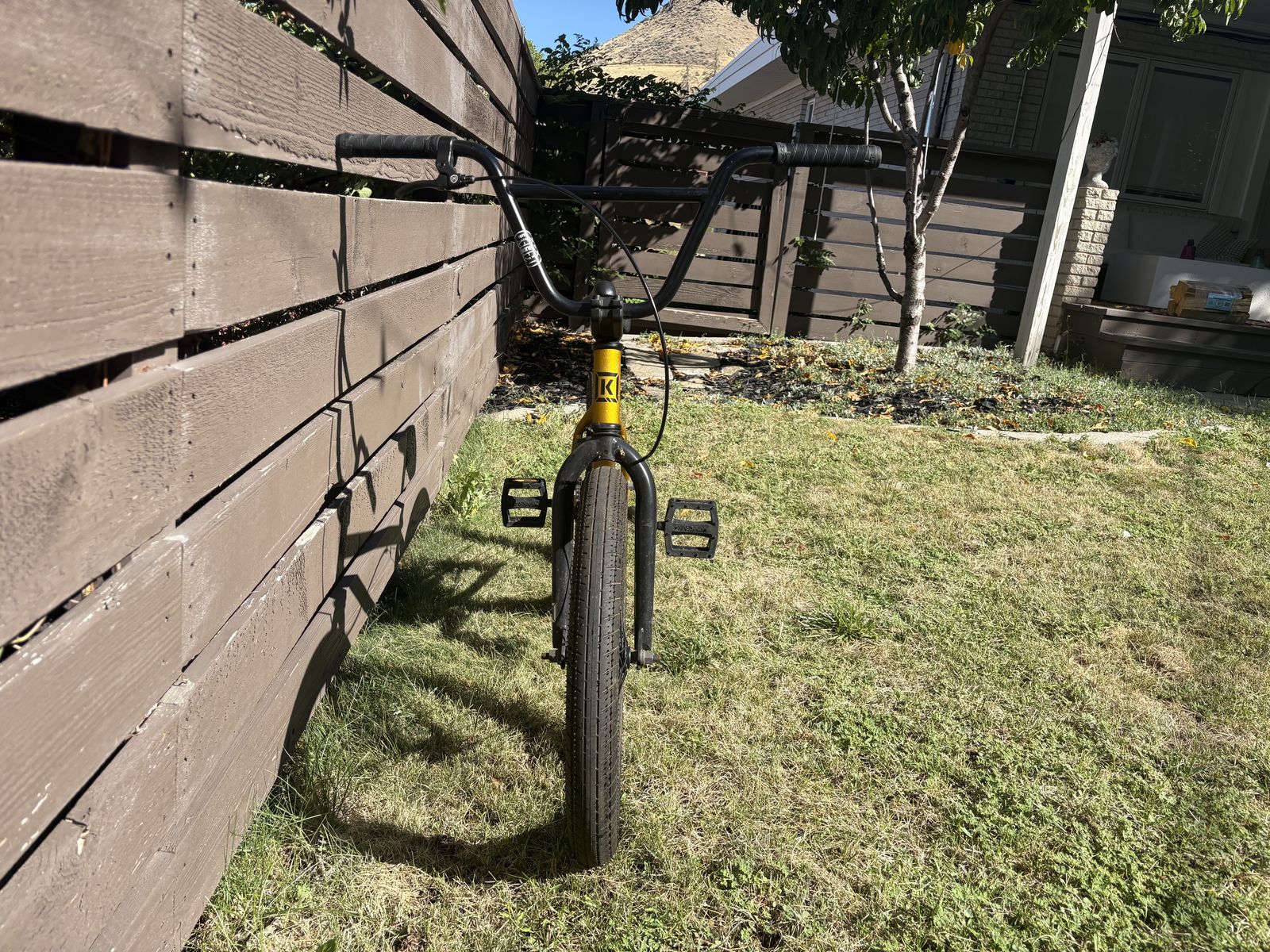 20” Freestyle BMX Bike – Metallic Gold – $150 OBO