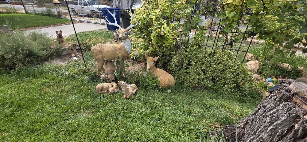 Lifelike Deer Family Garden Decor Set concrete - 2 Fawns , Doe, and Buck $1500.00 obo