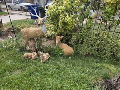 Lifelike Deer Family Garden Decor Set concrete - 2 Fawns , Doe, and Buck $1400.00 obo